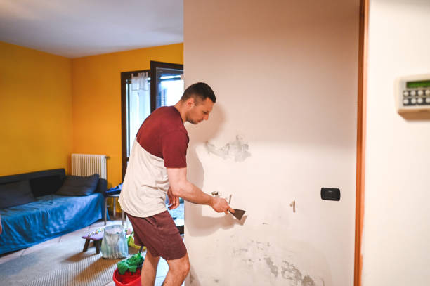 Best Industrial Mold Remediation in Dunstan, ME